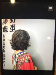 -藤野造型