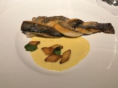 -Oyster Talks 四度蚝法餐厅