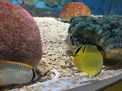 -北戴河圣蓝海洋公园