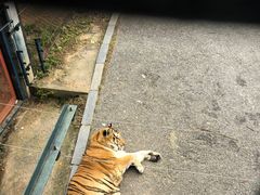 -大连森林动物园