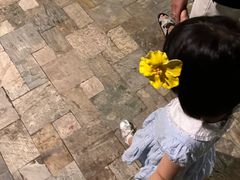 -日落吧·海景咖啡厅·餐酒吧·鸡尾酒·下午茶·乐队表演·浪漫夕阳·三亚文华东方酒店
