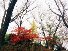-虞山风景区