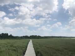 -塞罕坝国家级自然保护区