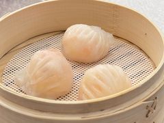 -金粤九号(李公堤店)