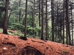 -丹东凤凰山景区