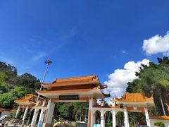 -深圳仙湖植物园