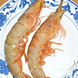 真正渤海湾海捕对虾制作，《大虾烧白菜》天花板