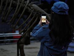 -吉林省自然博物馆