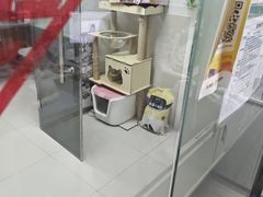 -宏发宠物医院·疑难骨科·特色猫科微创·异宠(工程街店)