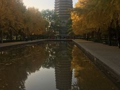 -玲珑塔公园