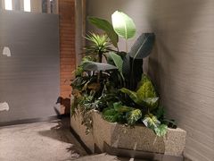 -蘸小院铁锅炖·蘸酱菜·东北菜(怀远门店)