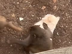 -昆明动物园