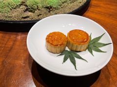 -觀芷隐轩