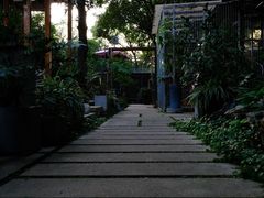 -谷咖啡·鲜花绿植花园餐厅