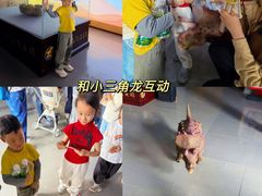 -中国西峡恐龙遗迹园
