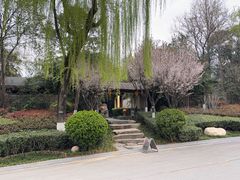 -西安国际创新人才交流中心•药浴温泉