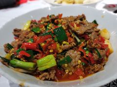 泡辣椒炒牛肉-壹盏灯(惠农店)