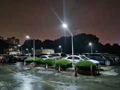 -上海浦东华美达大酒店