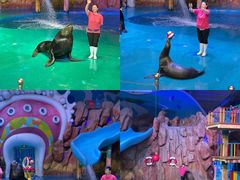 -烟台海昌鲸鲨海洋公园