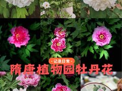 -洛阳市隋唐城遗址植物园