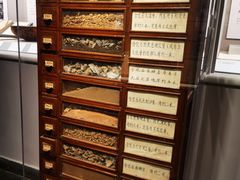 -北京大学赛克勒考古与艺术博物馆