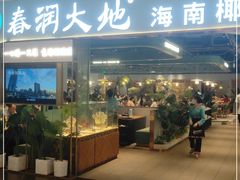 门面-春润大地海南椰子鸡(沙井京基百纳广场店)