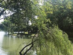 -白塘生态植物园