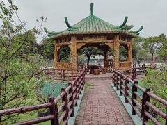 -长廊欢乐园