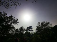 -南京市无想山景区