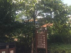 -清漾毛氏文化村
