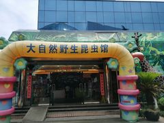 -上海大自然野生昆虫馆(东方明珠·爬宠昆虫探索中心)