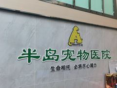 -半岛宠物医院24小时(科华中路店)