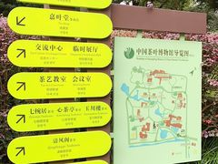 -中国茶叶博物馆(双峰馆区)