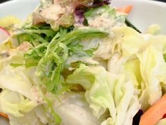 蔬菜色拉-新南华大酒店(广中店)