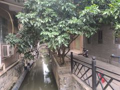-小洲村