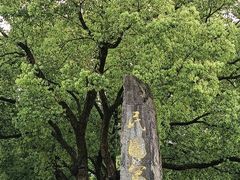 -蒋氏故居