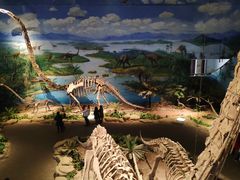 -自贡恐龙博物馆