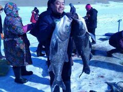 iphone_upload_pic-庆岭迎宾园正宗活鱼馆