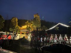 -夜不收荤豆花(大邑总店)