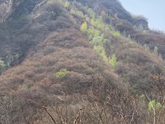 -黑龙潭风景区
