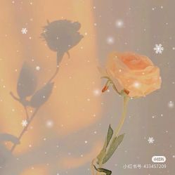 -Oasis Beauty水磨坊科技美肤中心