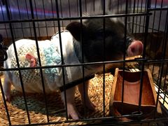 -海底捞火锅(长沙华创国际广场店)