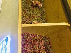 -炖物24章·顺时轻养茶(杭州保利时光里店)