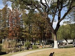-昆山城市公园