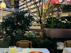 -桂满陇·海市蜃楼·黑金(国金店)