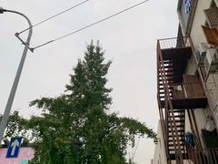 -奎星楼街
