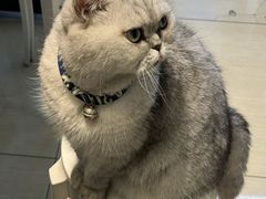 -Oasis绿洲银饰珍珠手作diy(壹方城店)