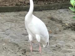 -燕塞湖鸟语林景区