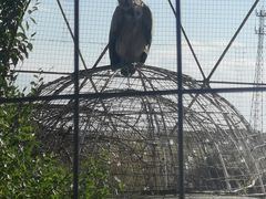 -新疆天山野生动物园