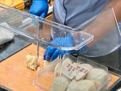 -洛阳郁金香牡丹园